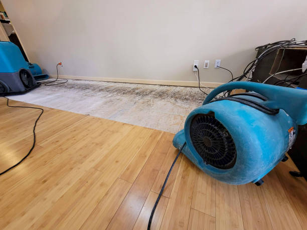 Professional Structural Drying technician working in Maud, OK